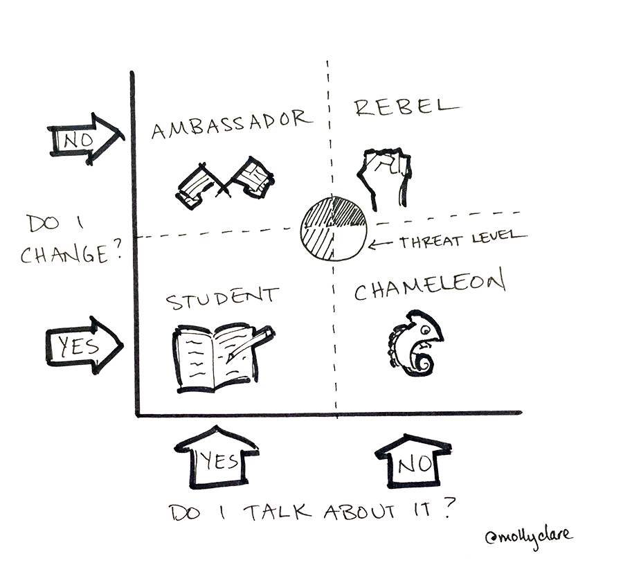2x2 matrix showing ambassador, rebel, student, chameleon